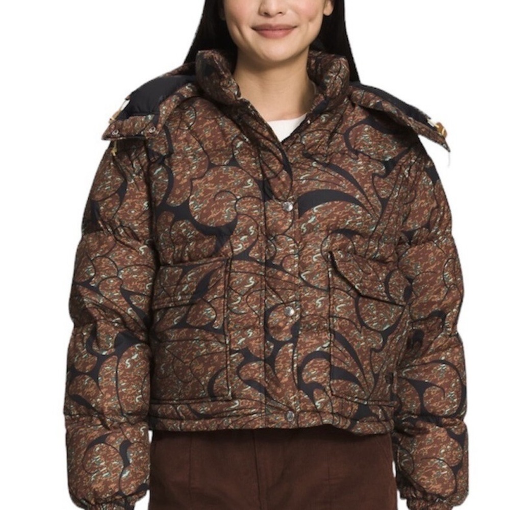 The North Face Black and Brown Puffer Jacket